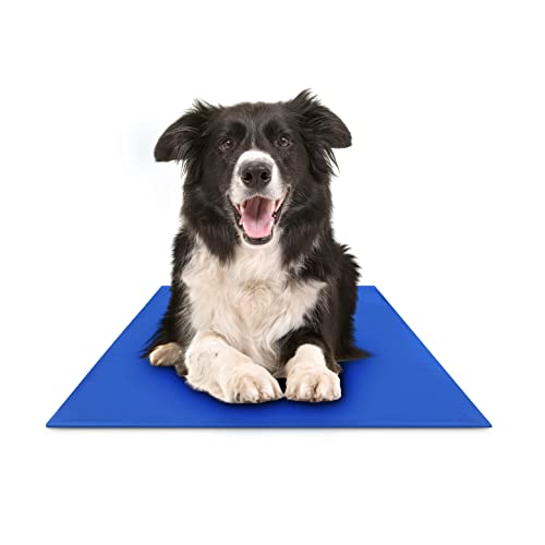 Beat the Heat: Chillz Cooling Mat for Dogs - Reviews & Recommendations!
