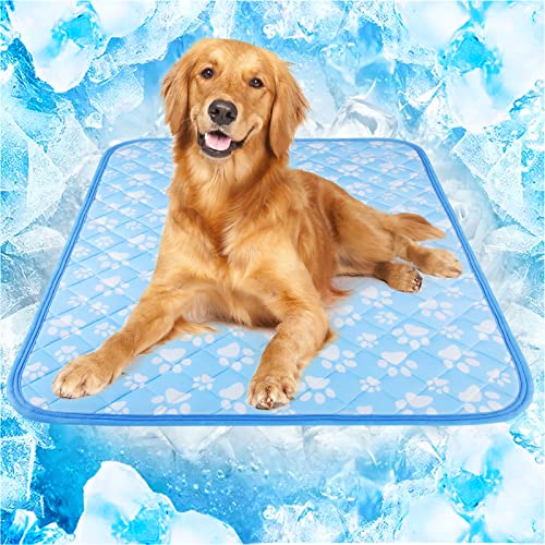 Beat the Heat: Reviews of the Rywell Dog Cooling Mat for Happy, Comfortable Pets