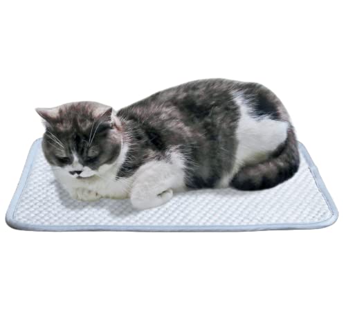 Beat the Heat: Reviews on the Ultimate Dog & Cat Cooling Mat!
