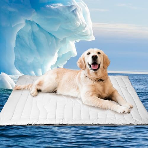 Beat the Heat: The Ultimate Reversible Dog Cooling Mat Review!