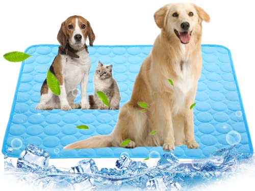 Beat the Heat: Top 5 Reasons to Try the Dog Cooling Mat for Your Extra Large Pet!