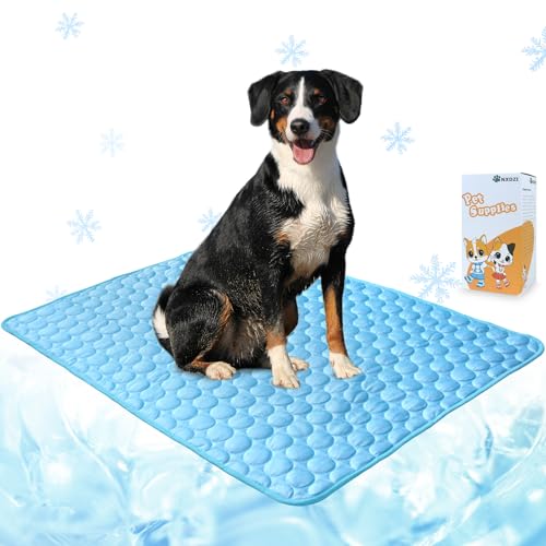 Chill Out: The Ultimate Dog Cooling Mat Review for Indoor & Outdoor Comfort!