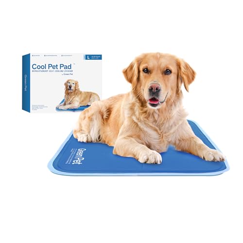 Keep Your Pets Cool: The Green Pet Shop Cool Pet Mat Review
