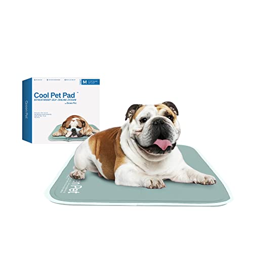 The Green Pet Shop Cool Pet Pad: A Must-Have for Your Furry Friends!