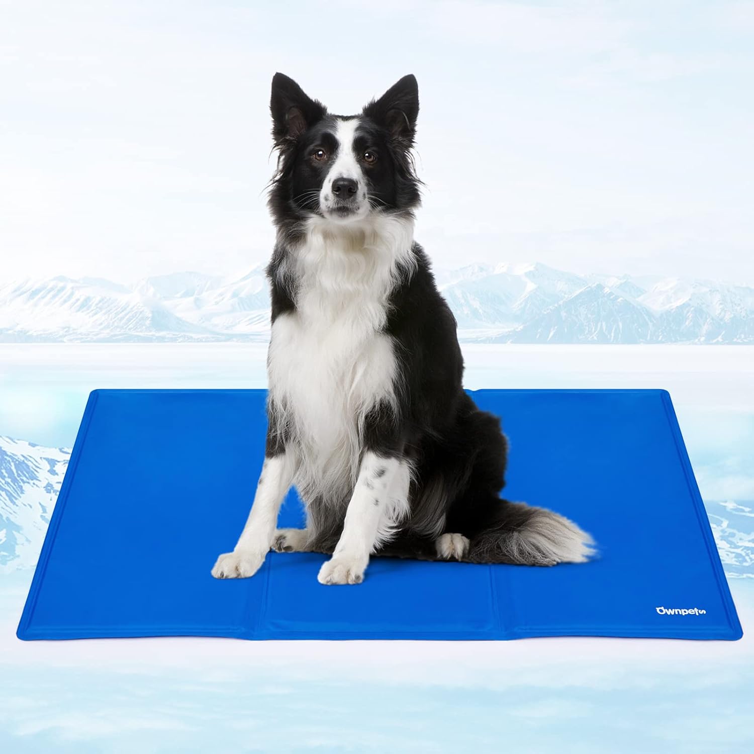 Beat the Heat: A Review of the Ownpets Self Cooling Gel Pad for Dogs and Cats