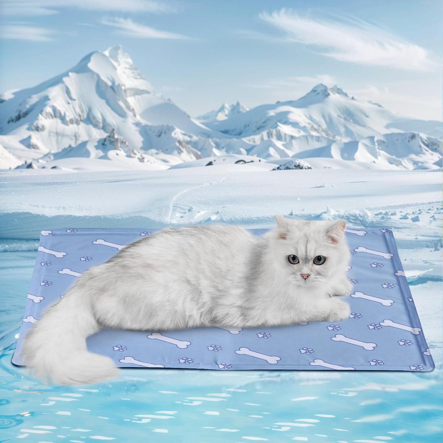 Beat the Heat: Review of the Dog Cooling Mat for Summer Comfort!