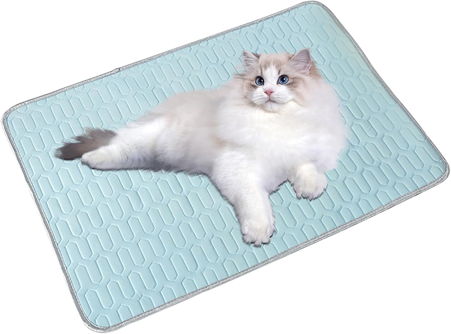Beat the Heat: Review of the Rstigiker Dog Cooling Mat for Ultimate Pet Comfort!