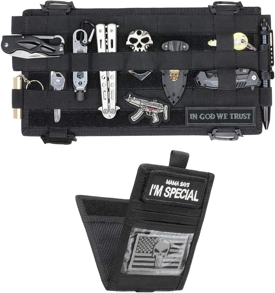 Maximize Your Car's Potential: WYNEX Molle Visor Panel Organizer Review
