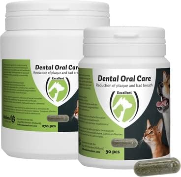 Transform Your Smile: A Review of Excellent Health Care Accessories for Oral Care