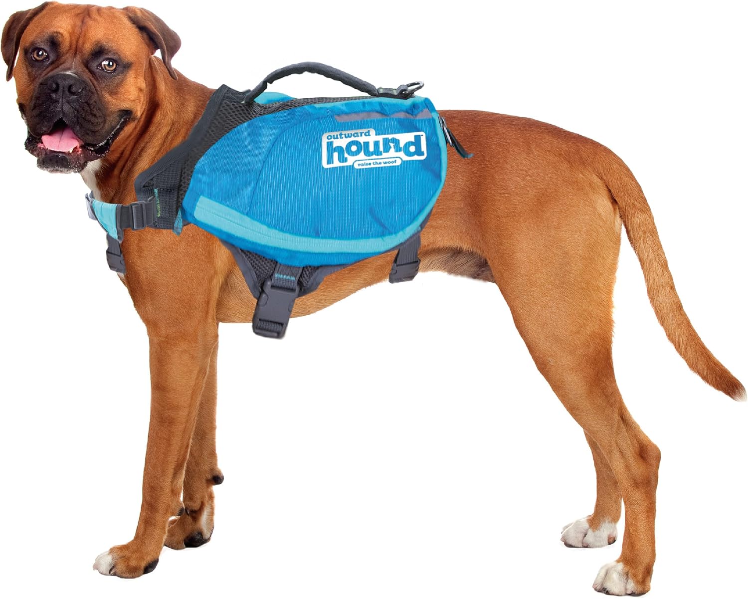 Adventure Ready: A Review of Outward Hound Daypak Dog Backpacks!