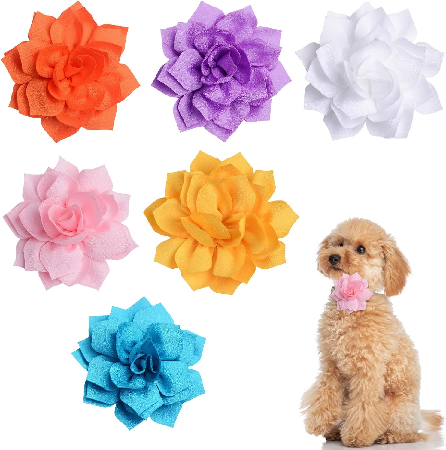 Blooming Style: Review of Bekecidi's Colorful Flower Collars for Dogs