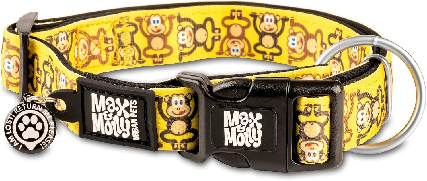 Discover Max & Molly's Vibrant Dog Collar: The Perfect Blend of Style and Safety!