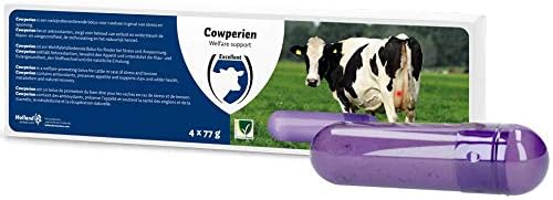 Transform Your Wellbeing: A Review of the Excellent Bolo Cowperien Health Care Accessory