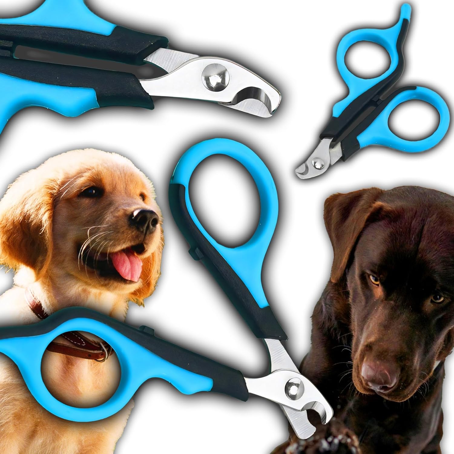 Ultimate Claw Care: Review of Retoo Pet Scissors for Safe & Easy Grooming