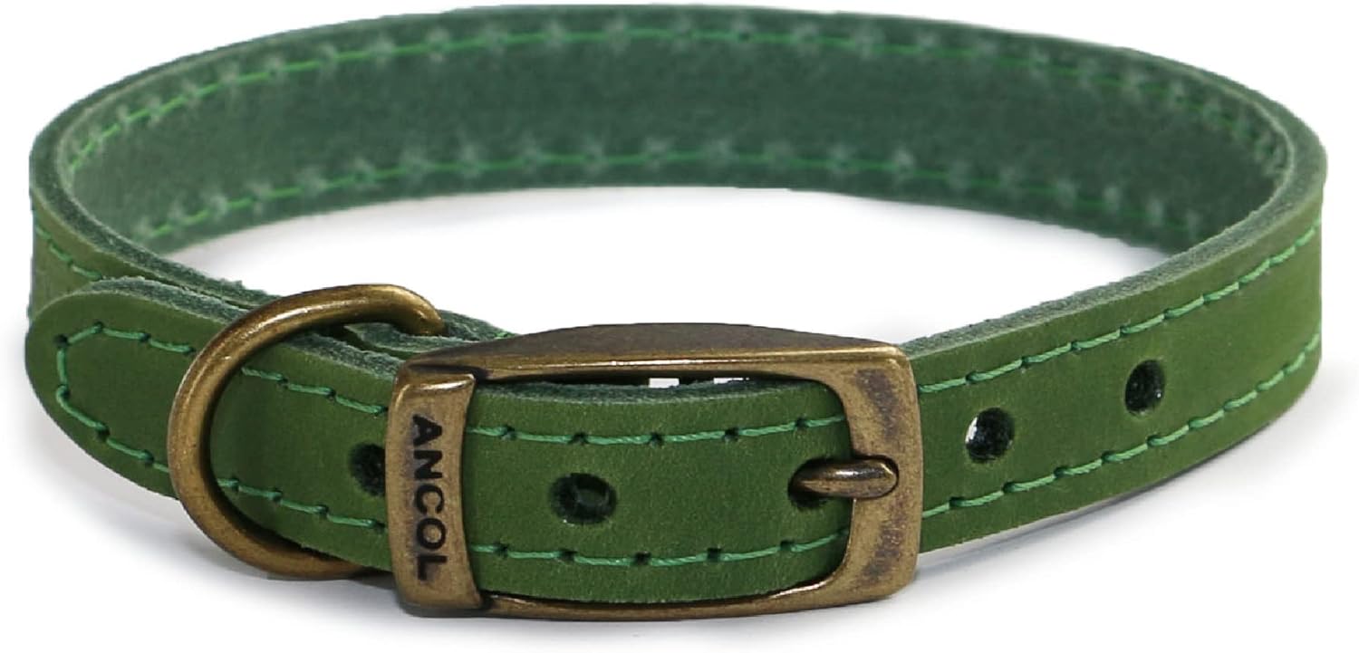Unleash Style and Comfort: Ancol Timberwolf Leather Dog Collar Review