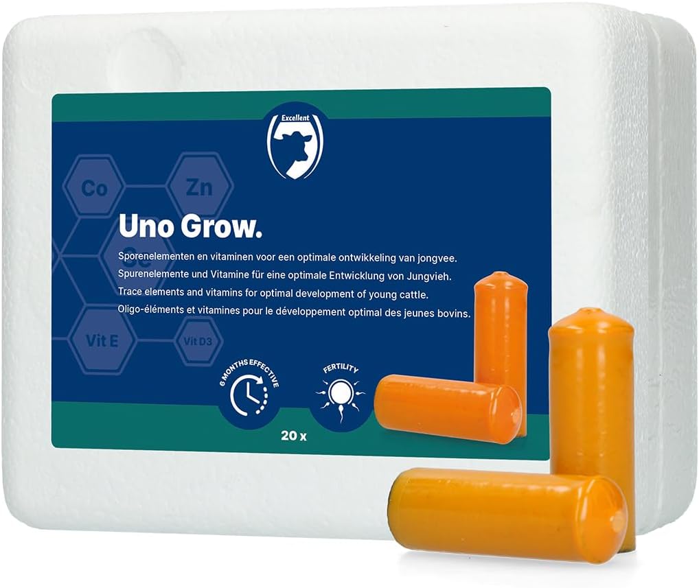 Unlock Peace of Mind with Excellent Healthcare Accessories: A Comprehensive Review!