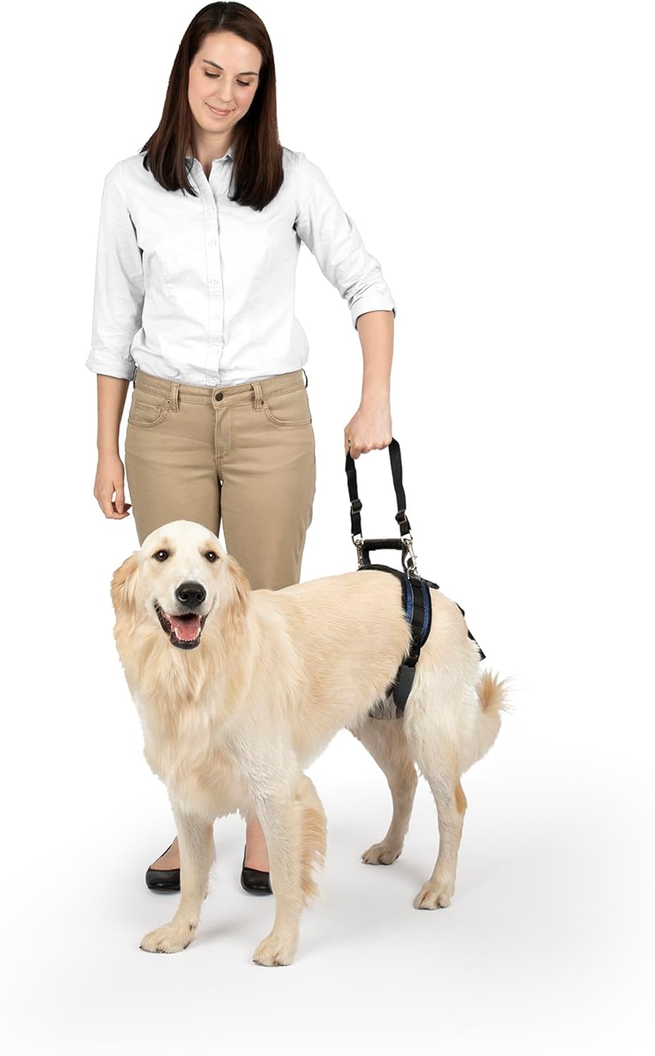 Unlock Your Dog's Mobility: A Review of the PetSafe CareLift Rear Support Harness