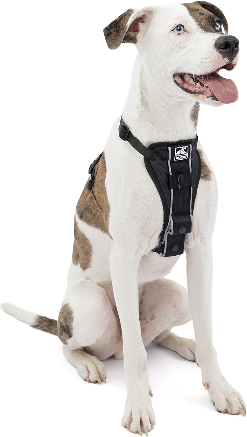 Discover the Kurgo Tru-Fit No Pull Dog Harness: Your Ultimate Guide for Easy Walks and Safe Car Rides!