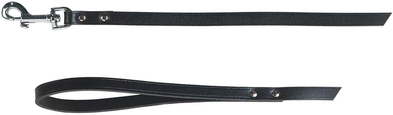 Durable and Stylish: A Review of the Kerbl Pet Mexica Lead