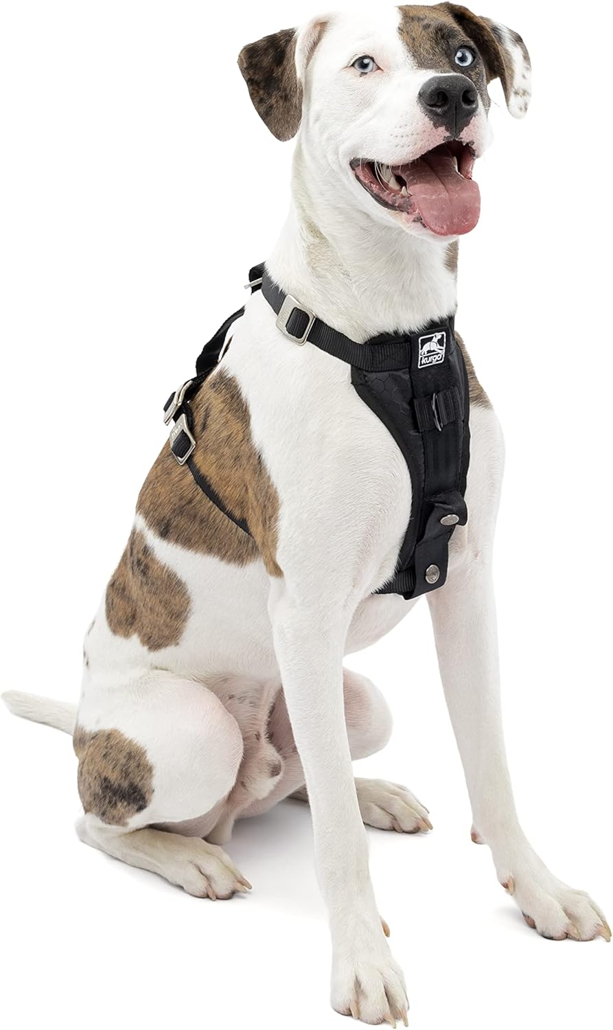 Hit the Road Safely: Kurgo K01257 Dog Harness Review & Recommendations