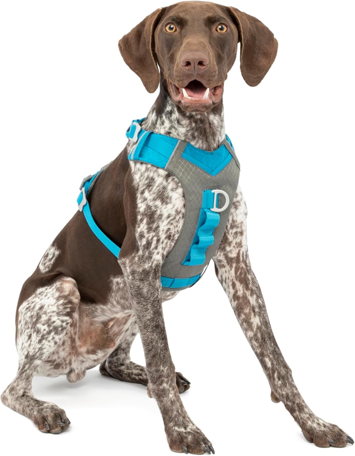 Unleash Adventure: Kurgo Journey Air Dog Harness Review - The Perfect Fit for Active Pups!