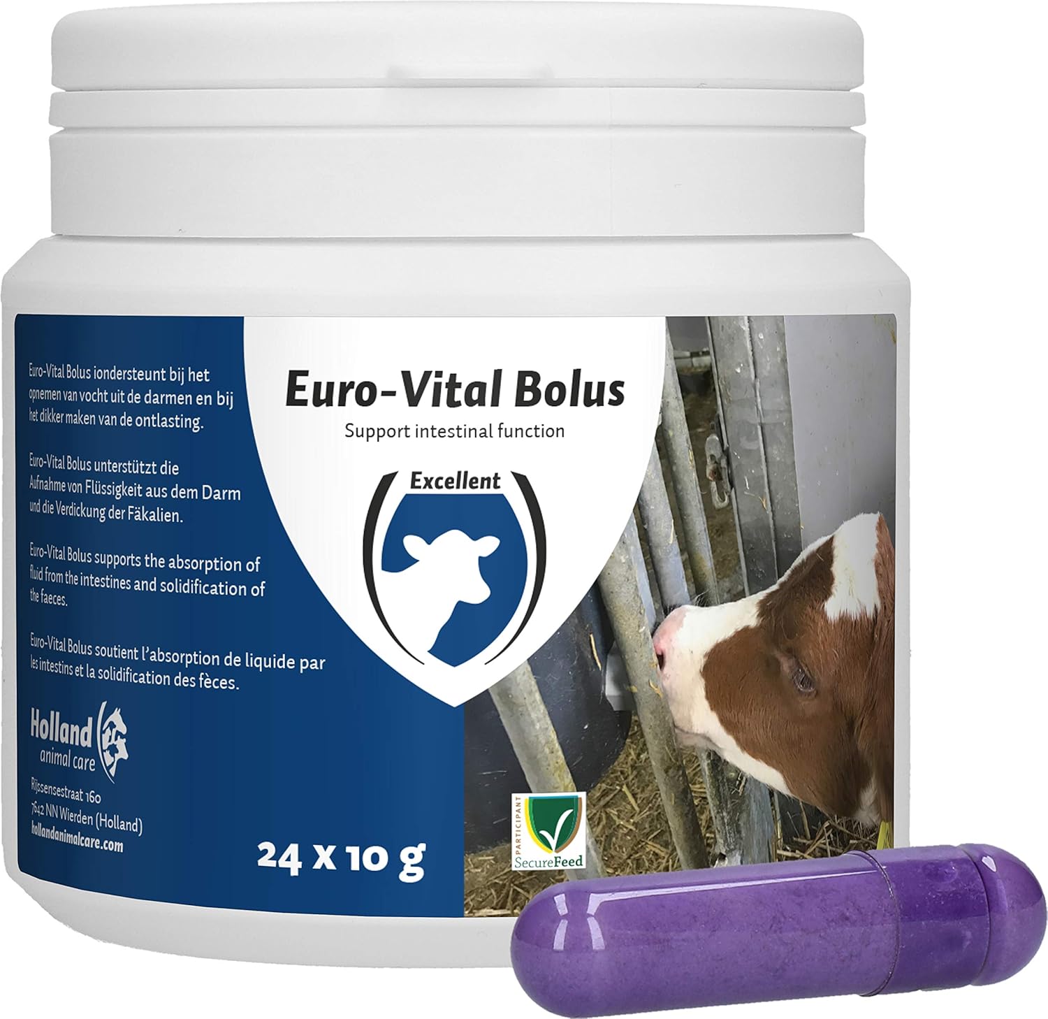 Unlocking Wellness: A Review of the Bolus Euro-Vital Health Accessory